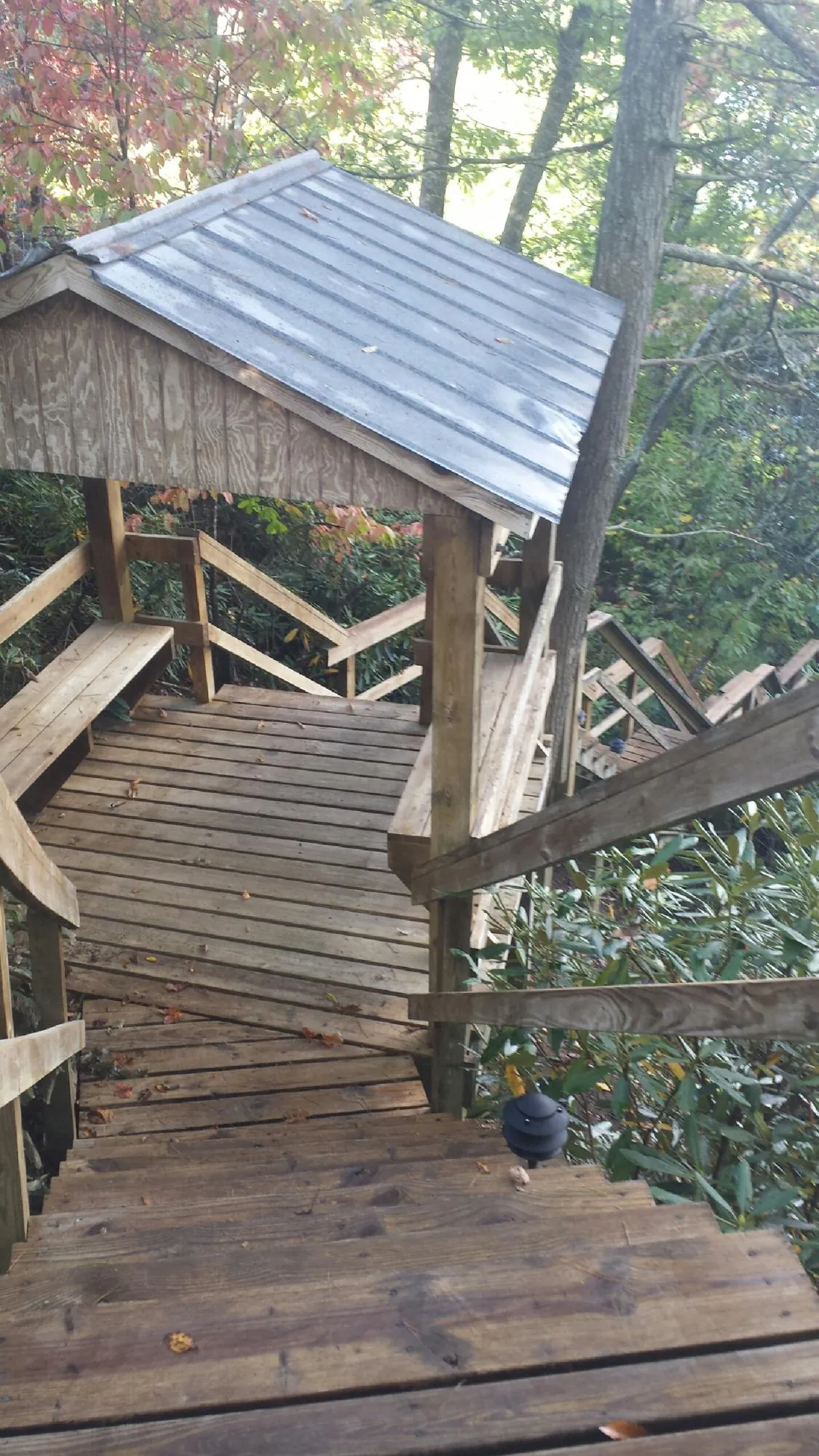 Metal roofed shelter over wooden steps on a wooded walkway in Saint Marys
